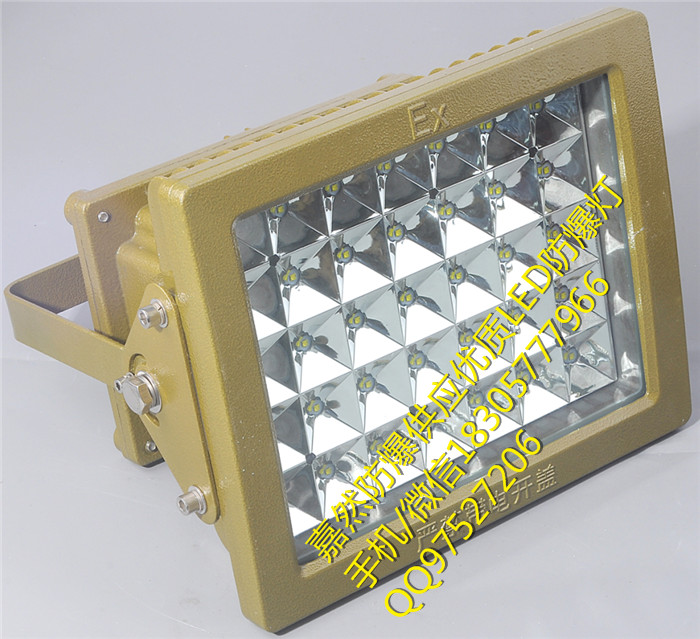 127v80wled防爆燈,化工廠100w防爆彎燈原始圖片2