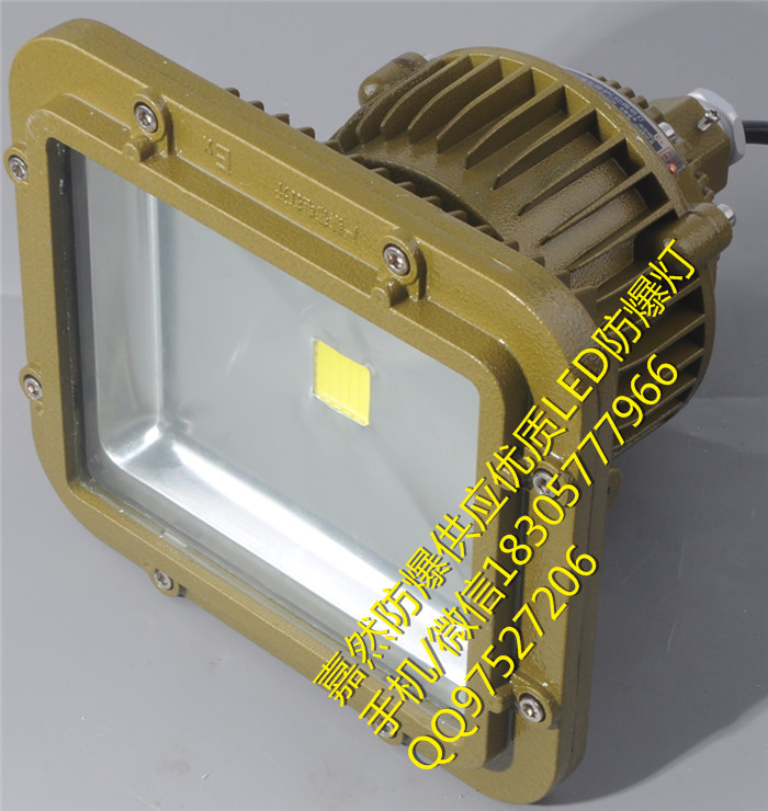 127v80wled防爆燈,化工廠100w防爆彎燈原始圖片3