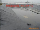 泰安市厚鑫土工材料供應優質HDPE土工膜【火熱暢銷】_HDPE土工膜銷售