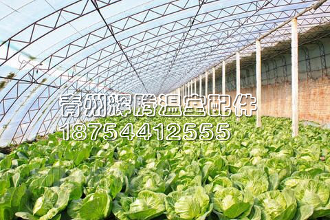 【辉腾  您的明智之选】gd花温室大棚厂家#gd花温室大棚工程#gd花温室大棚