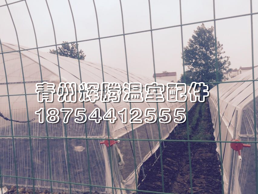 【非同凡響】寧夏櫻桃溫室大棚施工@甘肅櫻桃溫室大棚報價[輝騰]