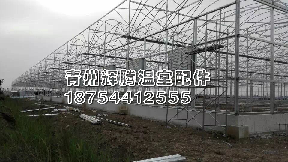 【【葡萄溫室大棚】工程、施工@草莓溫室大棚建造廠家—輝騰！】