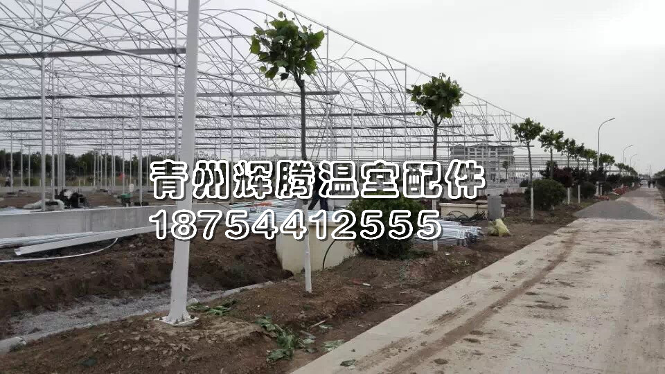 【猴开森】【樱桃温室大棚施工报价@宁夏樱桃温室大棚建造—辉腾】