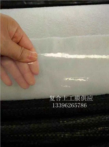 復(fù)合土工膜  一布一膜 兩布一膜 復(fù)合土工膜廠家 鑫宇供