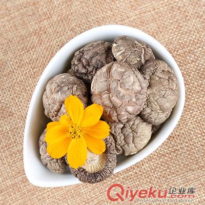 興利金錢菇批發供應肉厚平腳/菇肉厚實剪根味香南北干貨年貨{sx}農家自產