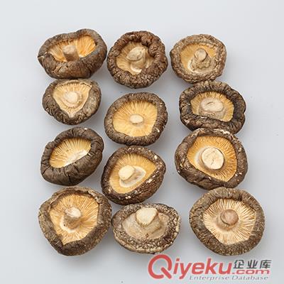 興利金錢菇批發供應肉厚平腳/菇肉厚實剪根味香南北干貨年貨{sx}農家自產