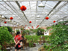 【山東養(yǎng)殖智能化溫室建設(shè)//養(yǎng)殖智能化溫室建造報(bào)價(jià)】華美溫室可信賴！