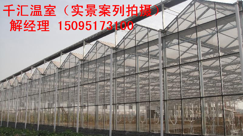 蔬菜溫室大棚制造商，蔬菜溫室大棚