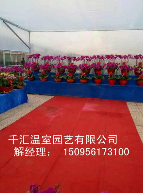 山東大棚配件——山東專業的溫室大棚