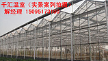 育苗溫室大棚建造/費用|育苗溫室大棚/價格/造價/建造/建設/設計/哪家好/千匯溫室ltqy