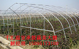 高性價【蔬菜溫室大棚建造】推薦 蔬菜溫室大棚/價格/造價/建設/造價/設計/公司/材料-千匯溫室