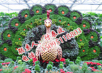壽光農(nóng)業(yè)生態(tài)園區(qū)設(shè)計(jì)，山東可靠的農(nóng)業(yè)生態(tài)園區(qū)規(guī)劃