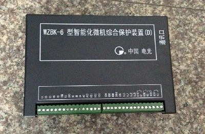 WZBK-6D保護器