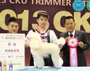 信譽(yù)好的武漢寵物美容哪里有，洪山寵物美容店