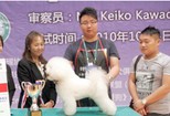 武漢神采飛揚·{yl}的武漢寵物美容公司|江漢寵物美容哪家好