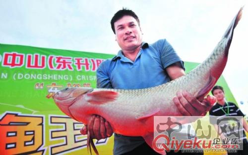 中山脆肉鯇、zzss東升脆肉鯇批發養殖15089938877