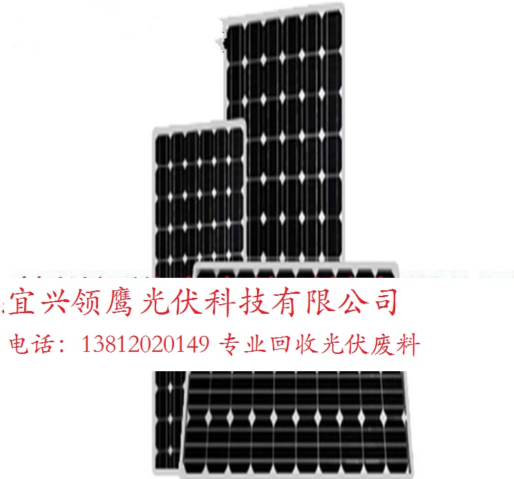 太陽能硅片回收公司