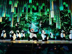 陜西專業的西安舞臺劇演出推薦，西安音樂劇價位