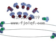 質量好的塑料封條供應信息——集裝箱封條廠家批發(fā)