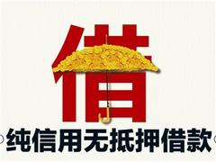 江夏個人信用借款：湖北可信賴的個人信用借款哪里有