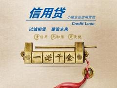 專(zhuān)業(yè)的融信信用貸|可信賴(lài)的融信信用貸就找武漢融信廣盈