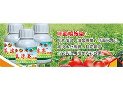 山東葉面噴施肥 供應濰坊具有口碑的葉面噴施肥