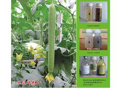 大量元素水溶肥供應——濰坊口碑好的大量元素水溶肥經銷商