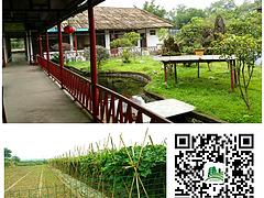 疊彩農家樂_南國春山莊_資深的旅游度假公司