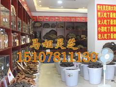 【熱銷】南寧物超所值的南寧{ctr}野生靈芝：來賓野生靈芝批發(fā)