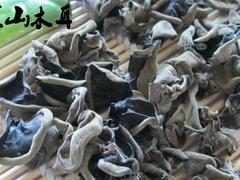 大同價(jià)格適中的滑子菇批發(fā) 熱賣滑子菇
