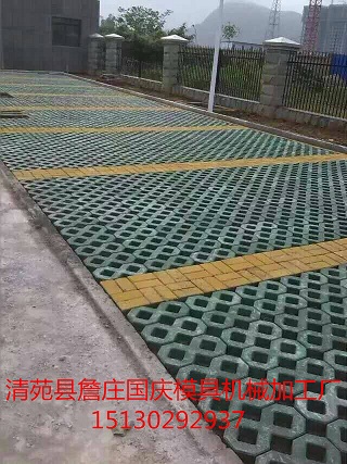  植草磚塑料模具&彩磚模具款式齊全原始圖片2