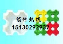  植草磚塑料模具&彩磚模具款式齊全原始圖片3