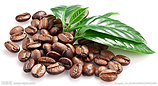 信譽(yù)好的咖啡原料廠家_嘉峪關(guān)奶茶果粉