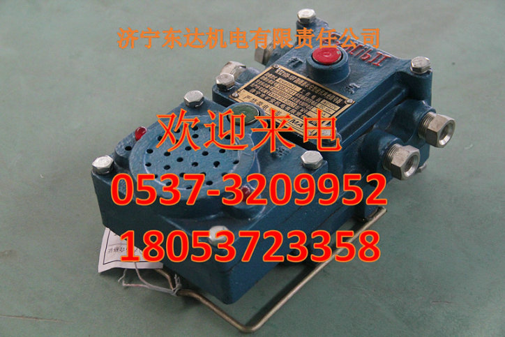 供應(yīng)東達(dá)質(zhì)量好濟(jì)寧礦用隔爆兼本安型聲光信號(hào)器 原始圖片2