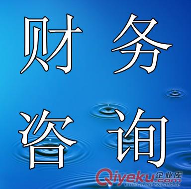 武漢/長沙金諾嘉財務 一般納稅人財務咨詢
