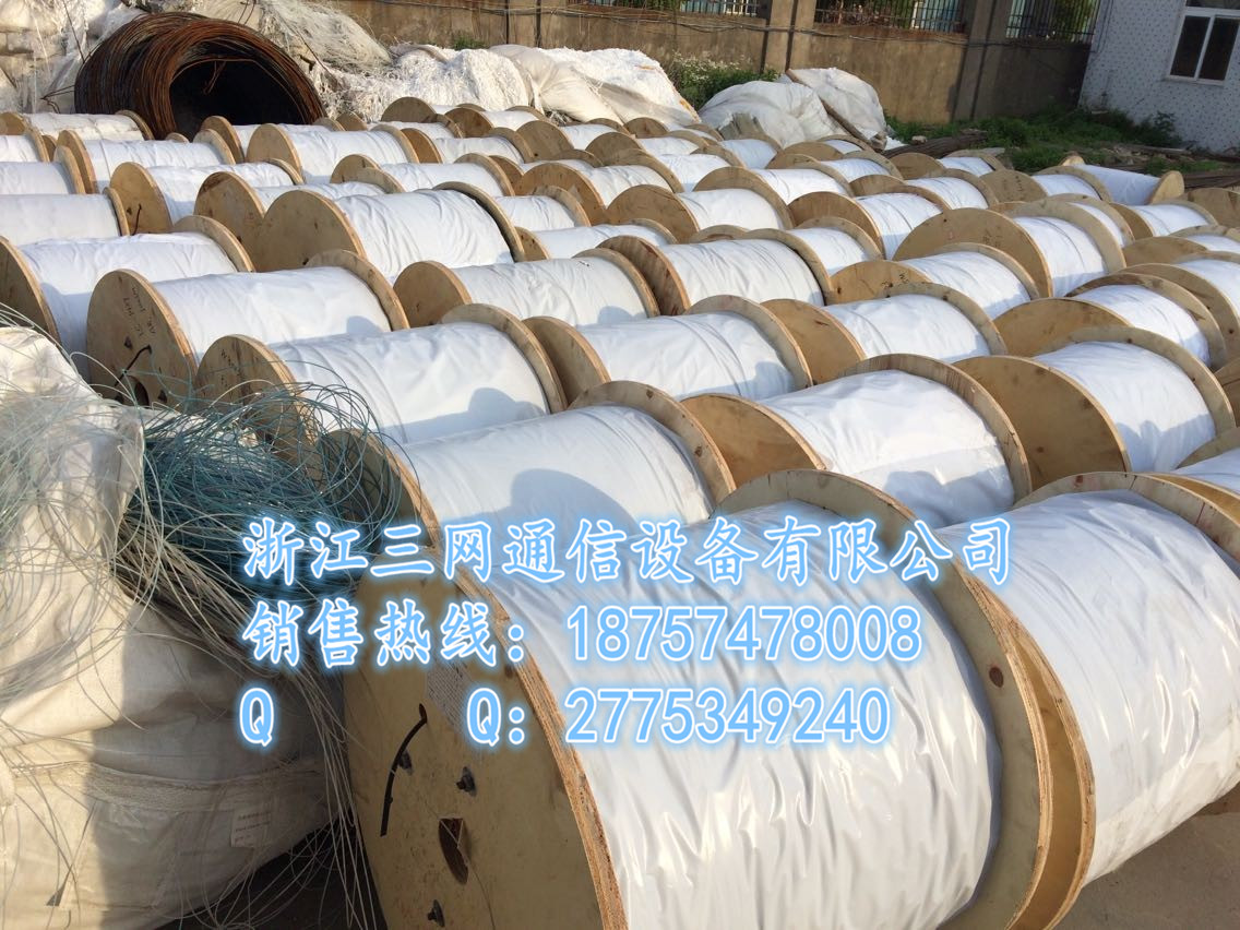 FTTH室內光纜（蝶形引入光纜） 原始圖片2