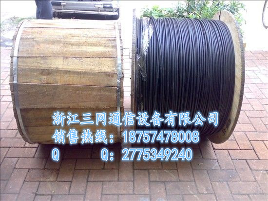 FTTH室內(nèi)蝶形引入光纜原始圖片2