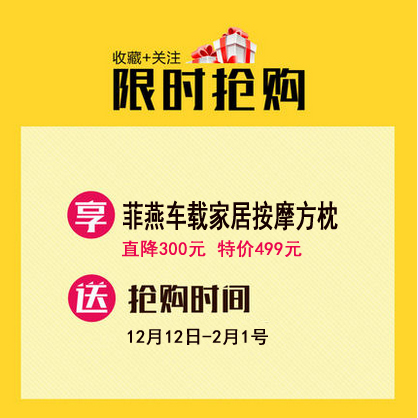 哈爾濱菲燕品牌電動車載家居養生按摩抱枕FY-101-6原始圖片2