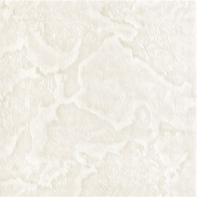 衛生間瓷磚/地板磚800x800/瓷磚 客廳/花磚200