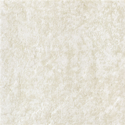 特價(jià)地磚800x/瓷磚廠/米黃色地板磚/小花磚200