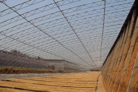冬暖式日光溫室大棚建設：山東實用的日光溫室大棚