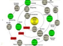 ISO13849的標(biāo)準(zhǔn)進(jìn)行風(fēng)險(xiǎn)評(píng)估