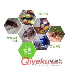 供應太倉滅鼠滅蟑螂，衛康技術{yl}，服務至上！