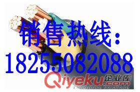 直銷IA-DJYP3VP3本安電纜