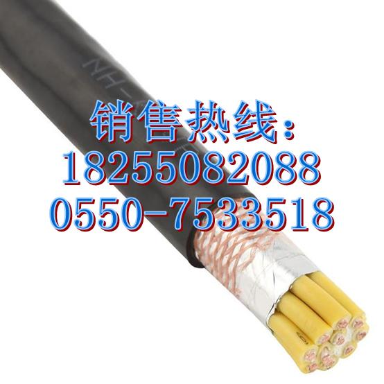 供應控制電纜KFG22