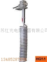紅光耐酸堿防腐電熱管，鐵氟龍加熱管，非標(biāo)定做各種規(guī)格電熱管原始圖片3