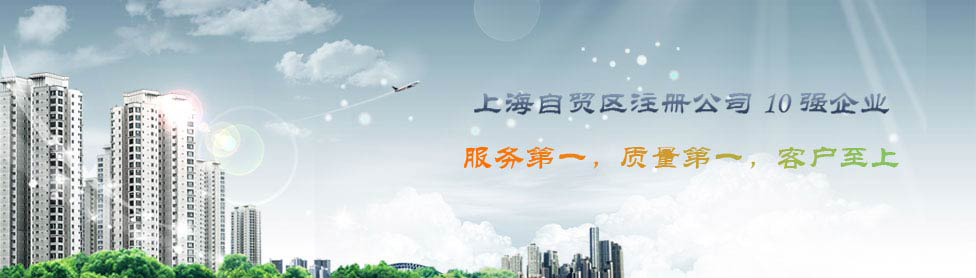 上海市奉賢自貿(mào)區(qū)公司注冊