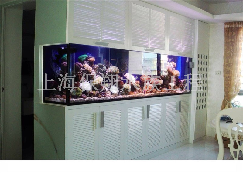 余姚水族公司廠家