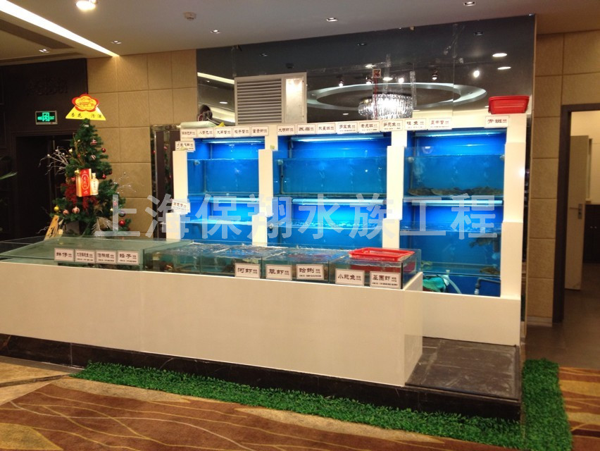 嵊州海鮮魚缸公司
