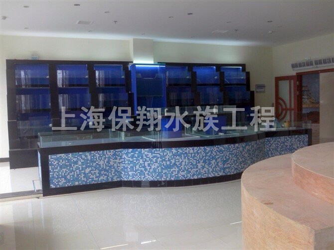 義烏生態(tài)魚缸定做